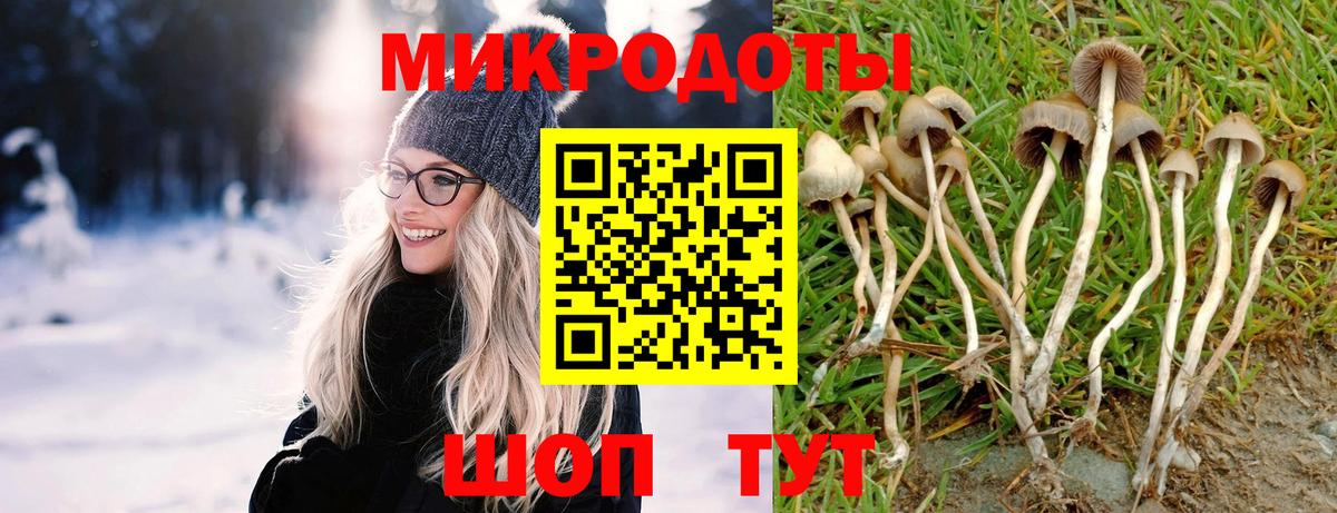 Псилоцибиновые грибы GOLDEN TEACHER  Вход с VPN  Кушва  Псилоцибиновые грибы GOLDEN TEACHER 