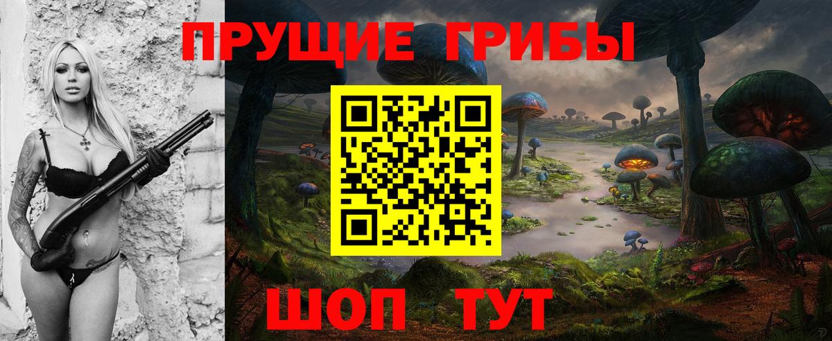 Галлюциногенные грибы Psilocybe Кушва